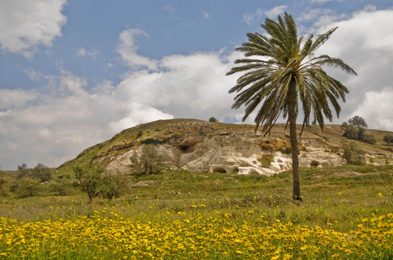 Archaeologists discover evidence of ceremonial psychedelic use at ancient Israeli biblical site