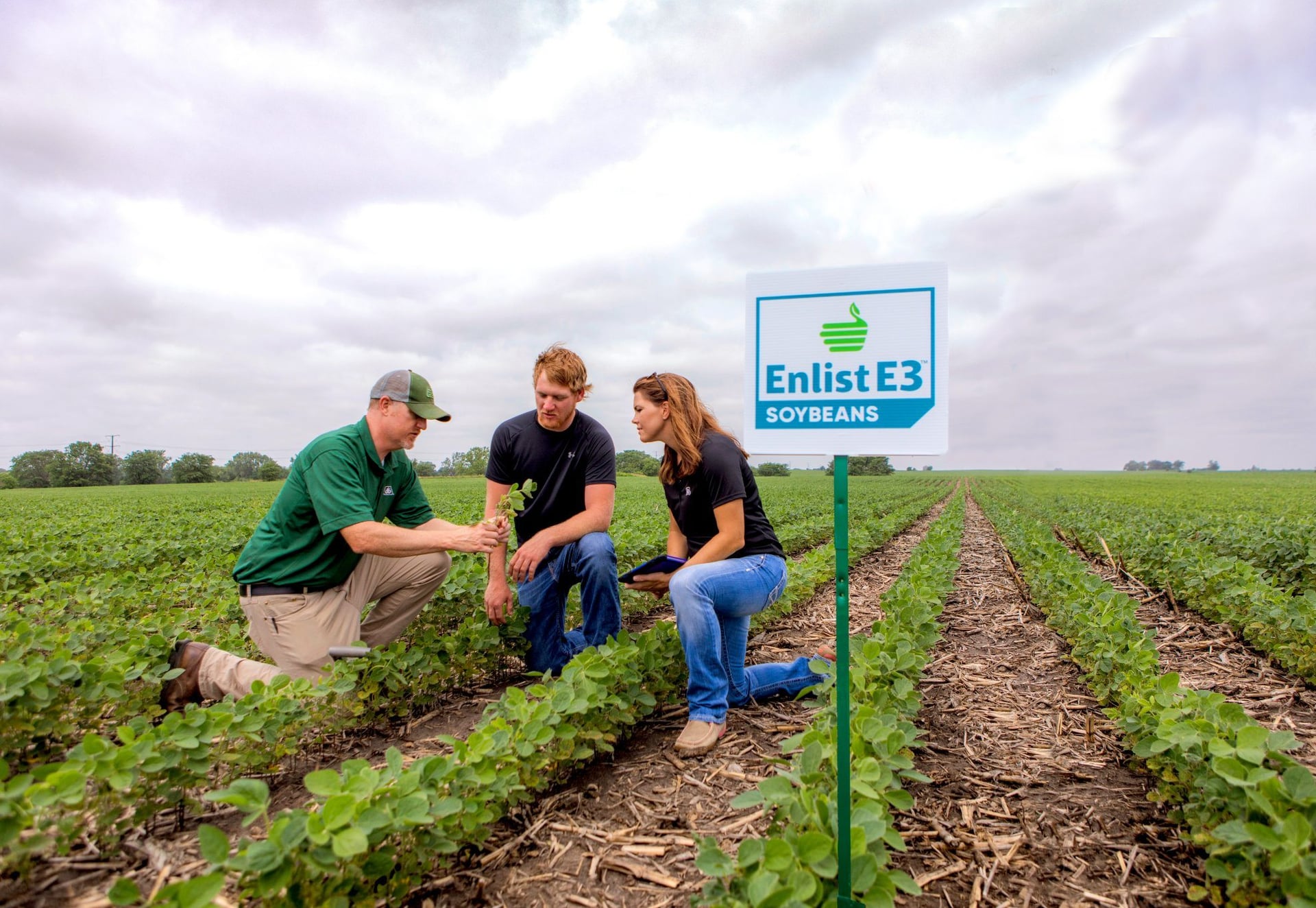 Deepspatial pulls in government investment to help fight global food crisis