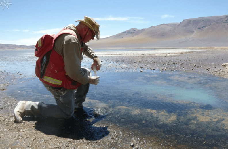 Lithium Chile partners with French miner Eramet to develop Chilean properties