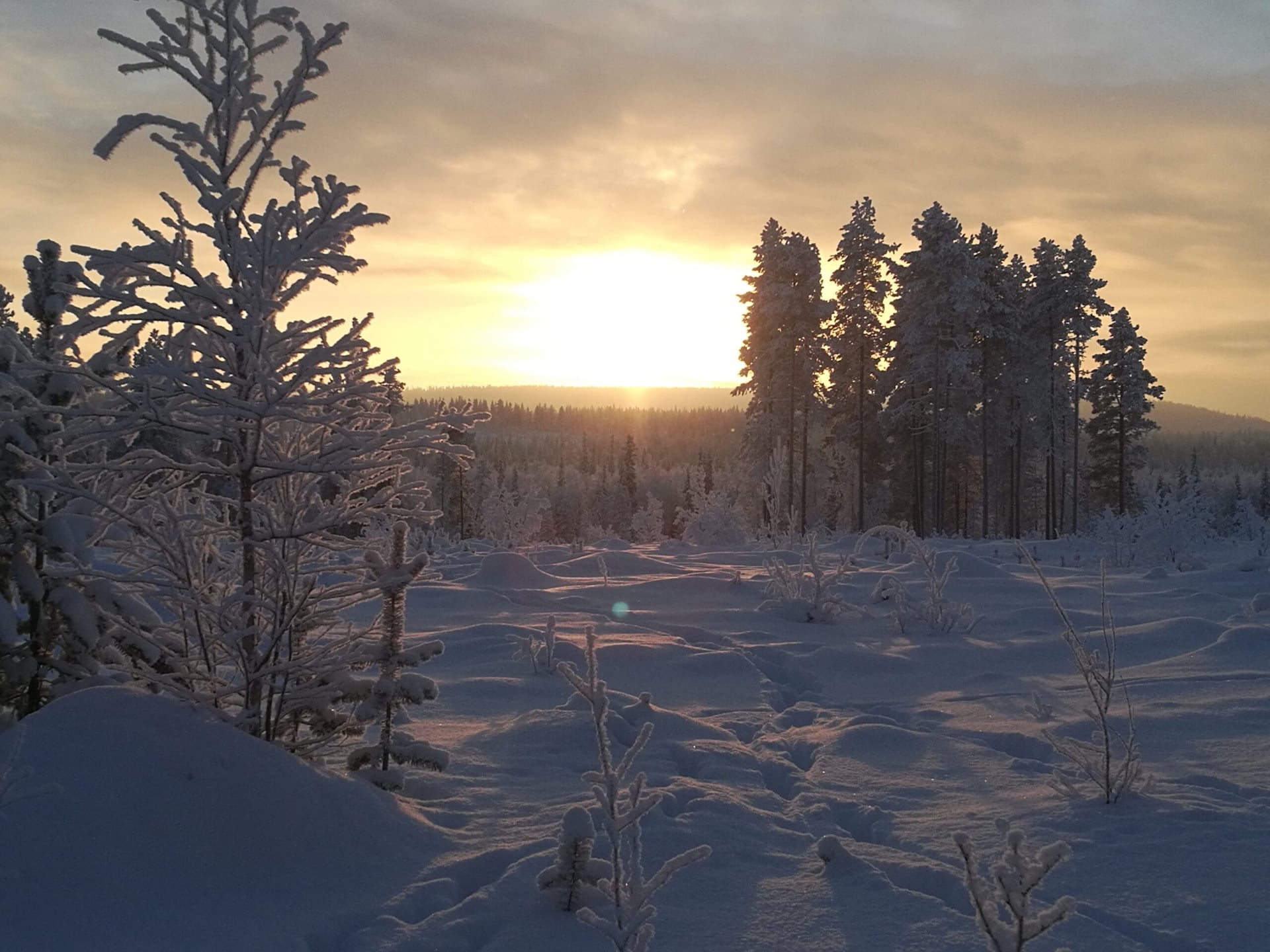 Rupert Resources makes offer for B2Gold's 70% stake in Finland joint venture with Aurion