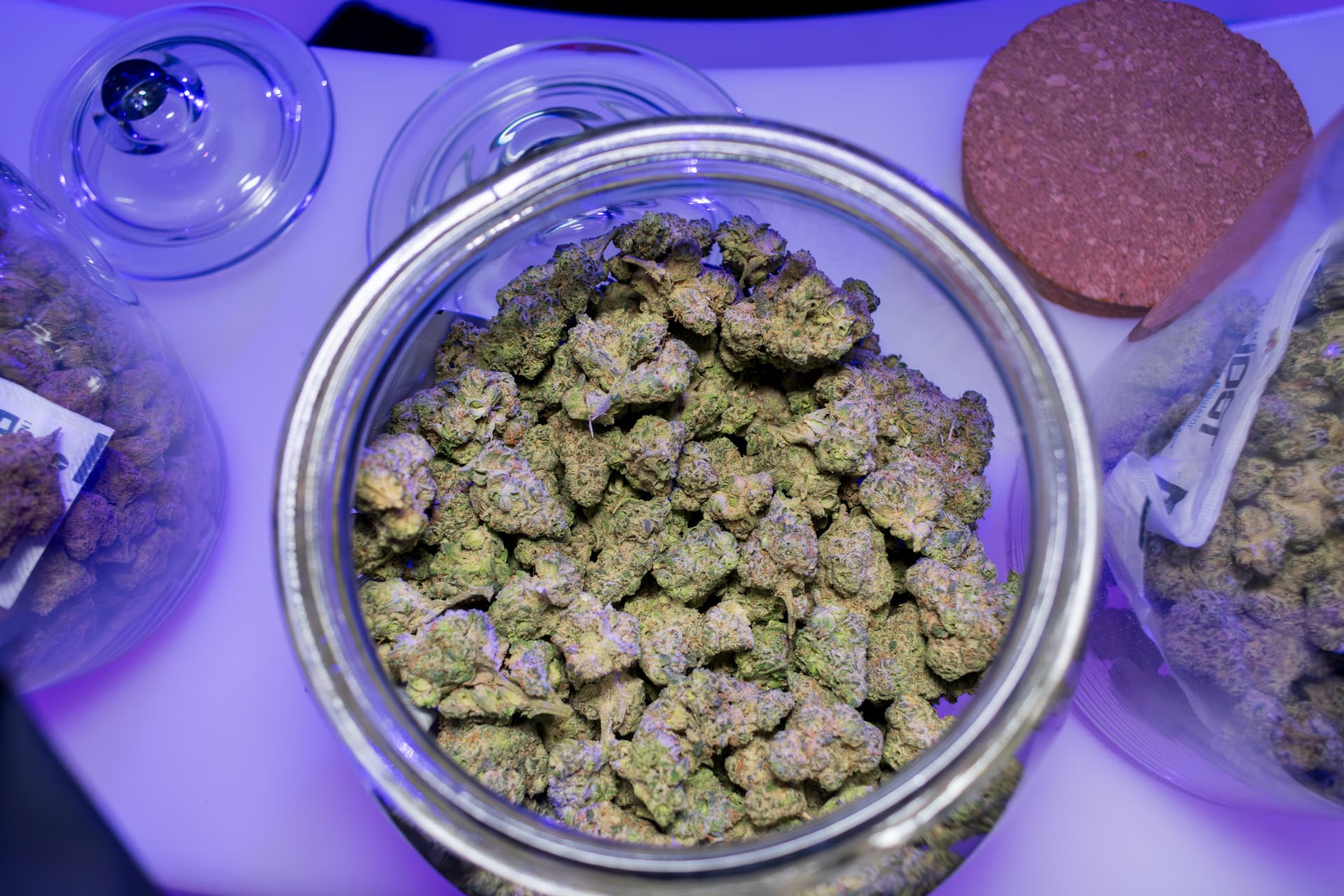 KIND Gardens cannabis show lights up Vancouver for the first time
