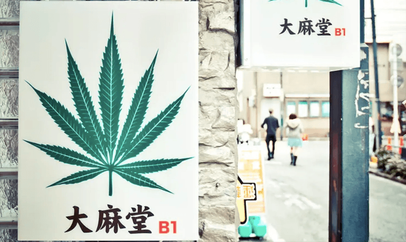 Japan's cannabis industry has 'staggering' growth over past 4 years