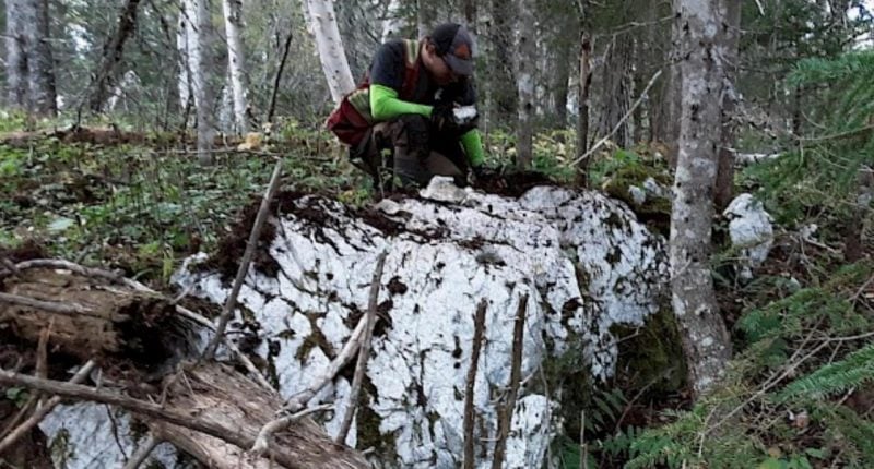 New Found Gold and Labrador Gold ink property purchase agreement ahead of acquisition