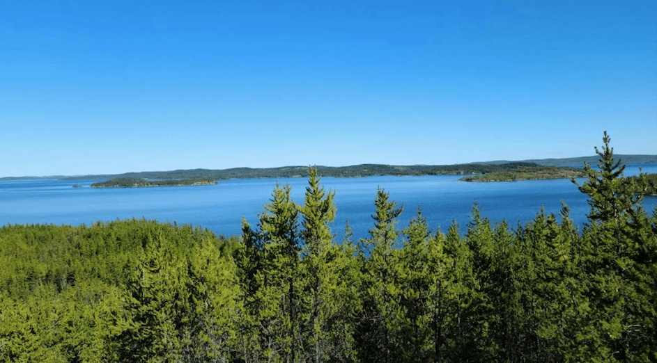 Stallion Uranium intersects significant radioactivity with new drill program's first hole