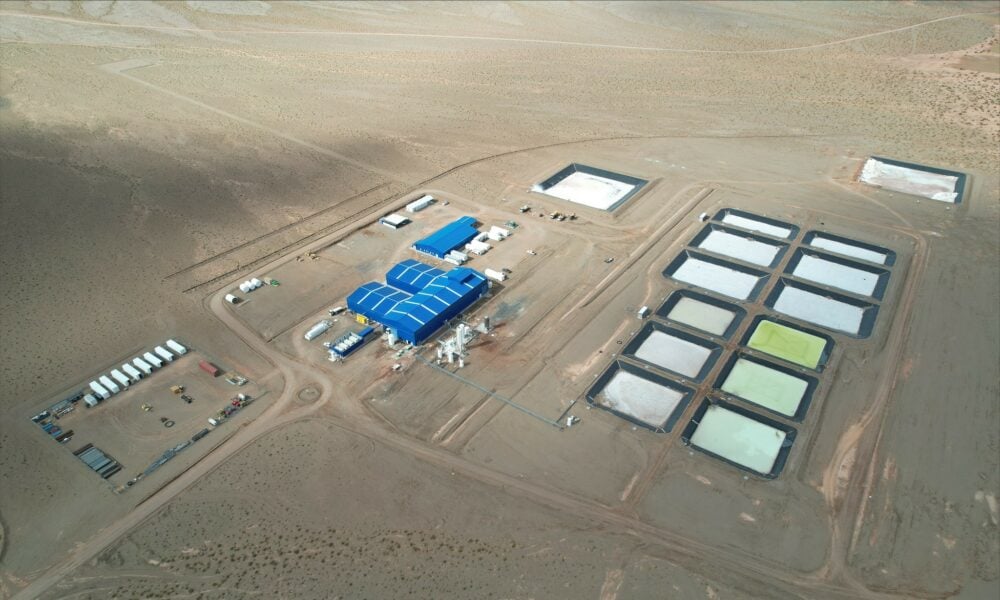 Tianqi Lithium and Ganfeng Lithium reach for market share during downmarket