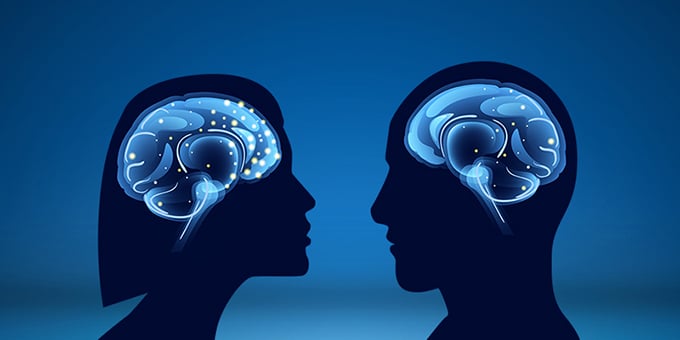 AI discovers distinct differences between male and female brain structure