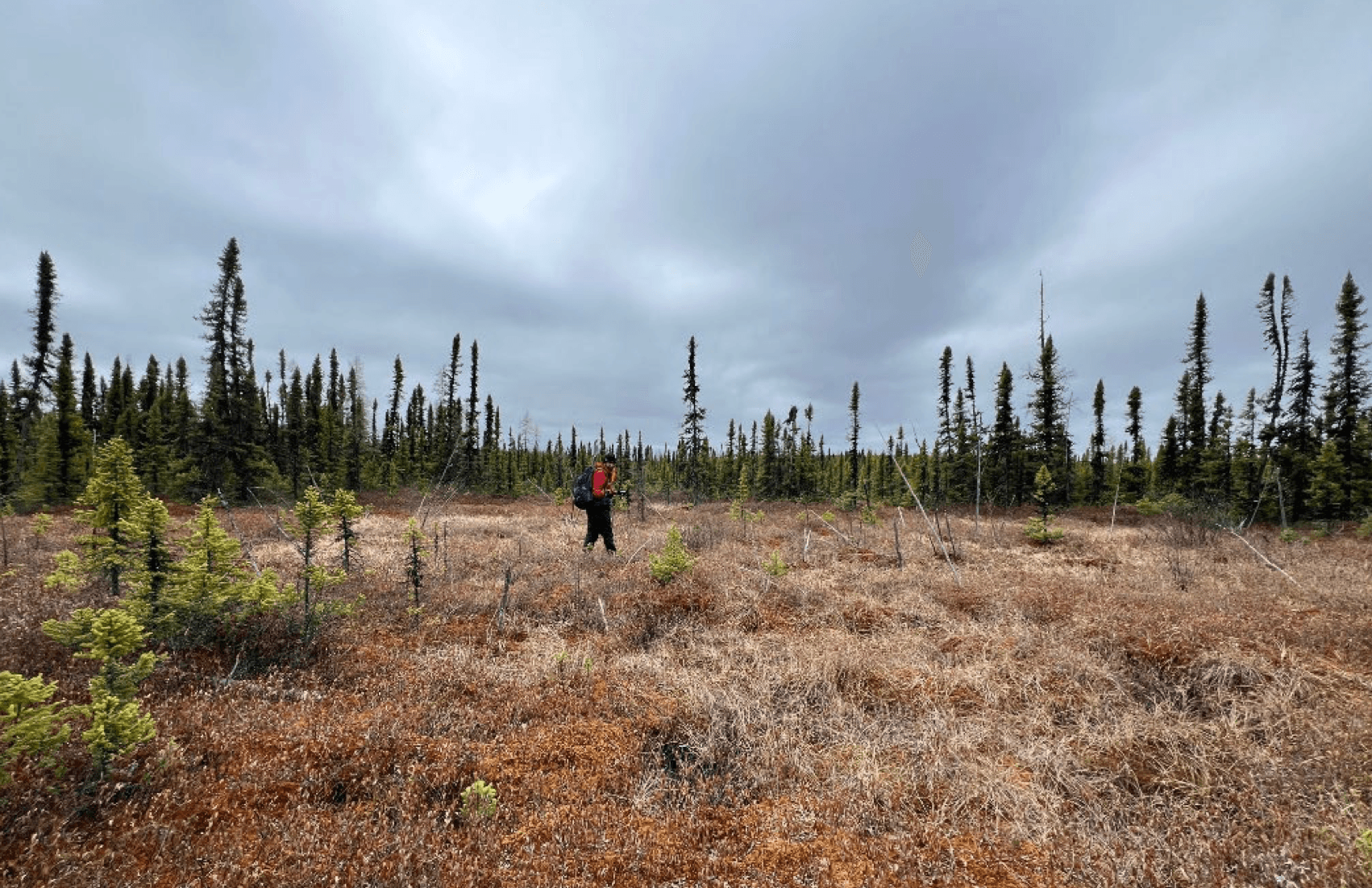 Australia's Thunderbird Resources kicks off high-tech Saskatchewan uranium sampling program
