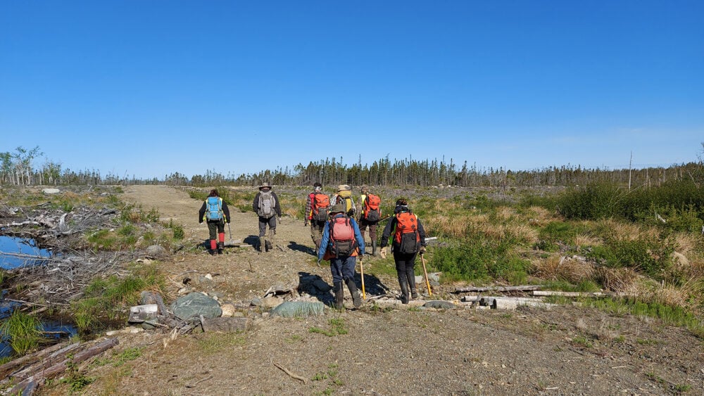 Canterra Minerals gravity surveys return with positive anomalies in Newfoundland