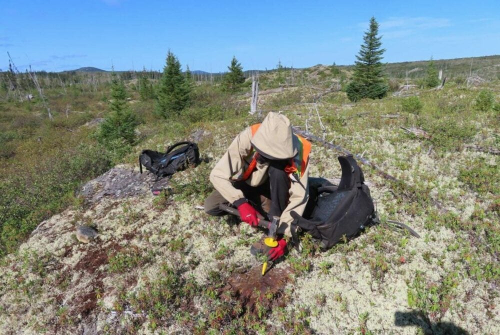 Patriot Battery Metals returns high value lithium assays in Quebec