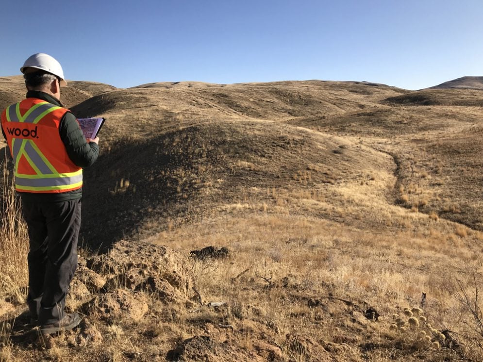 Phenom Resources inks four year option for King Solomon Gold Project in Nevada
