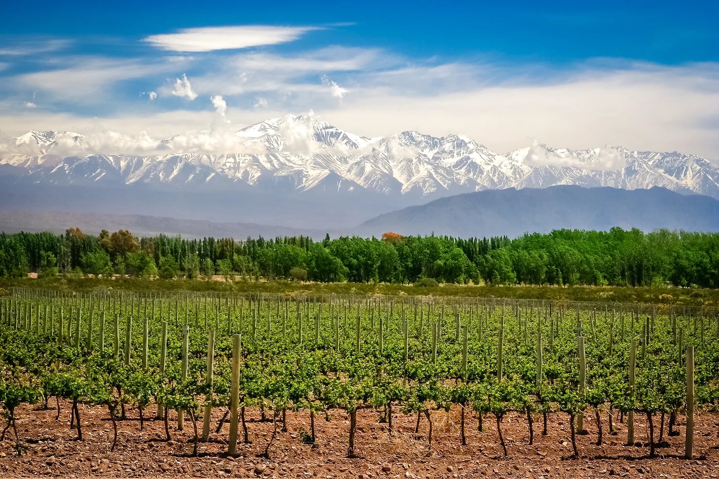 Copper miners flock to Argentina's Mendoza province as nation becomes more mining friendly