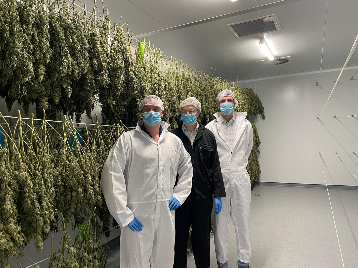 German cannabis legalization prompts Organigram to invest millions into Berlin's Sanity Group