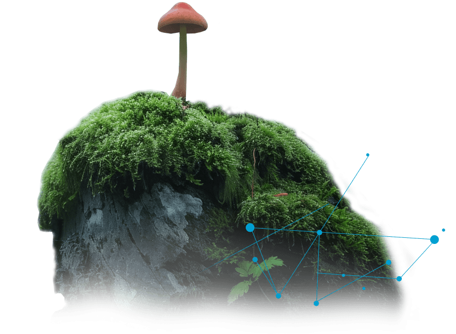 Kapoose Creek uses AI to identify new fungi-based drugs for brain health applications