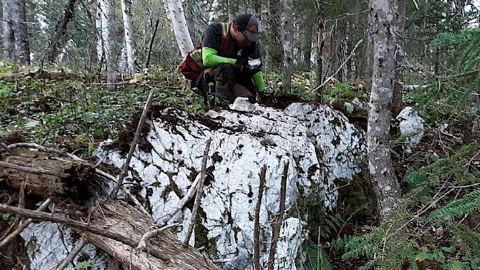 Labrador Gold finalizes sale of Kingsway Project to New Found Gold