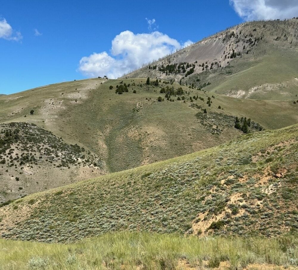 US Critical Metals confirms historical results in latest Idaho exploration campaign