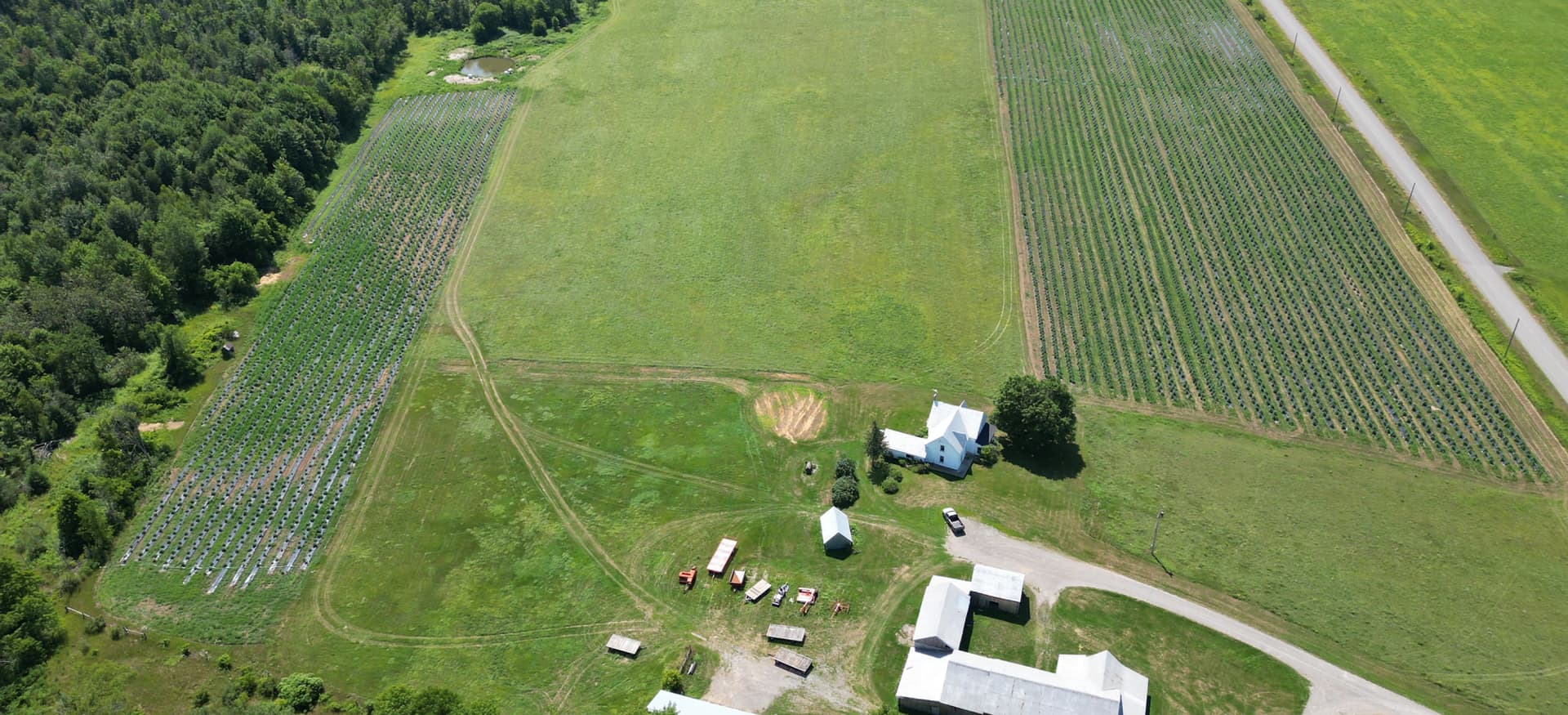 Ontario pot farm awarded over 1/2 a million for minor cannabinoid hemp research