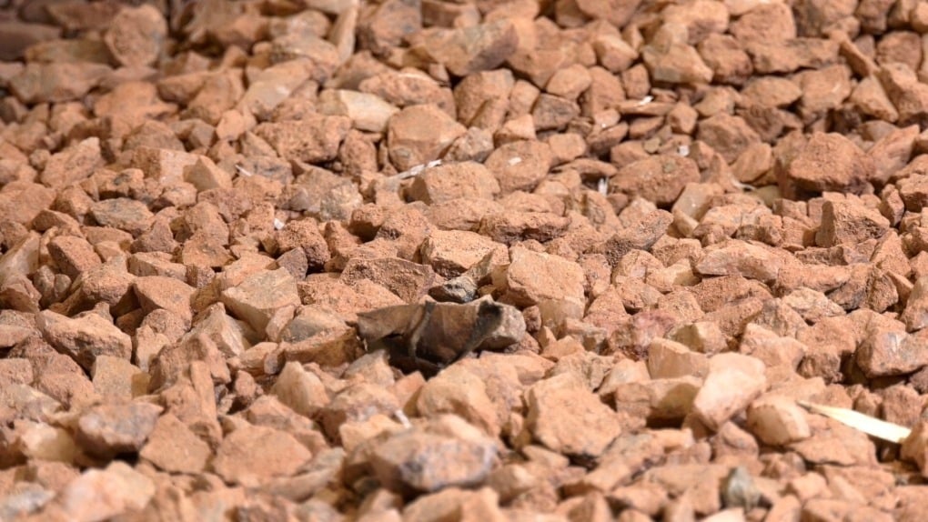 New Saskatchewan rare earth processing plant could help fight Chinese market dominance