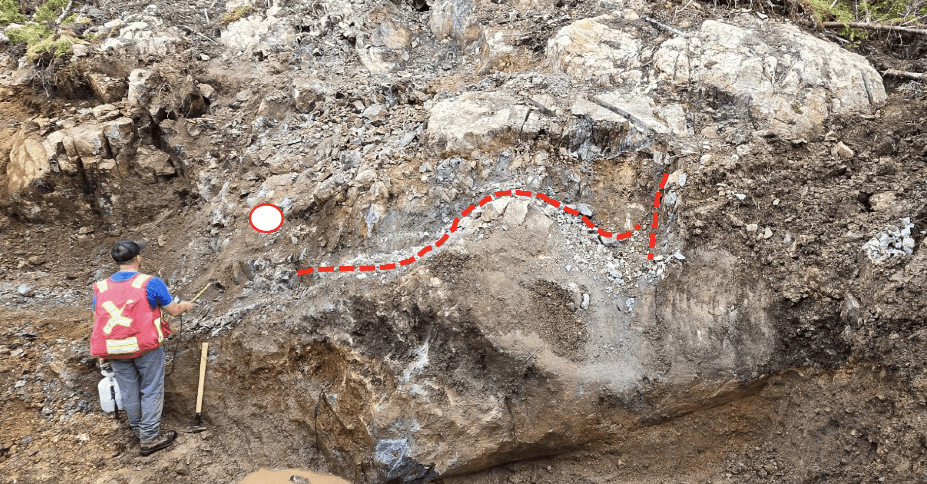 Northern Shield finds visible gold in rock samples at Newfoundland's Root & Cellar site