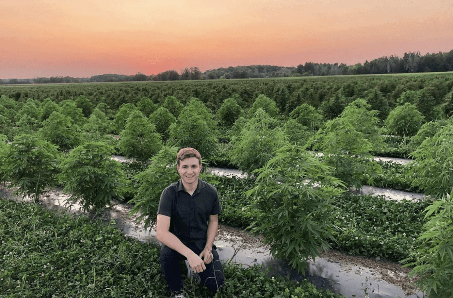 Ontario pot farm awarded over 1/2 a million for minor cannabinoid hemp research