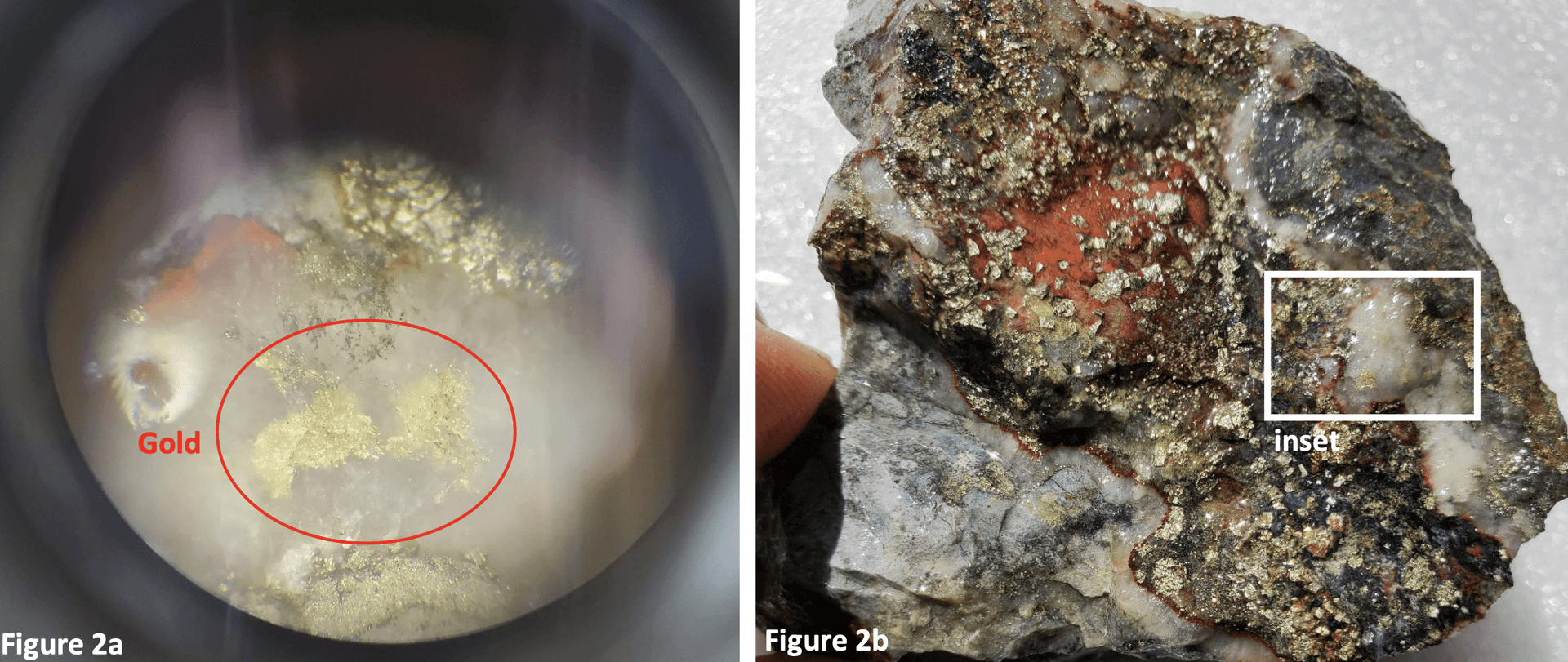 Northern Shield finds visible gold in rock samples at Newfoundland's Root & Cellar site
