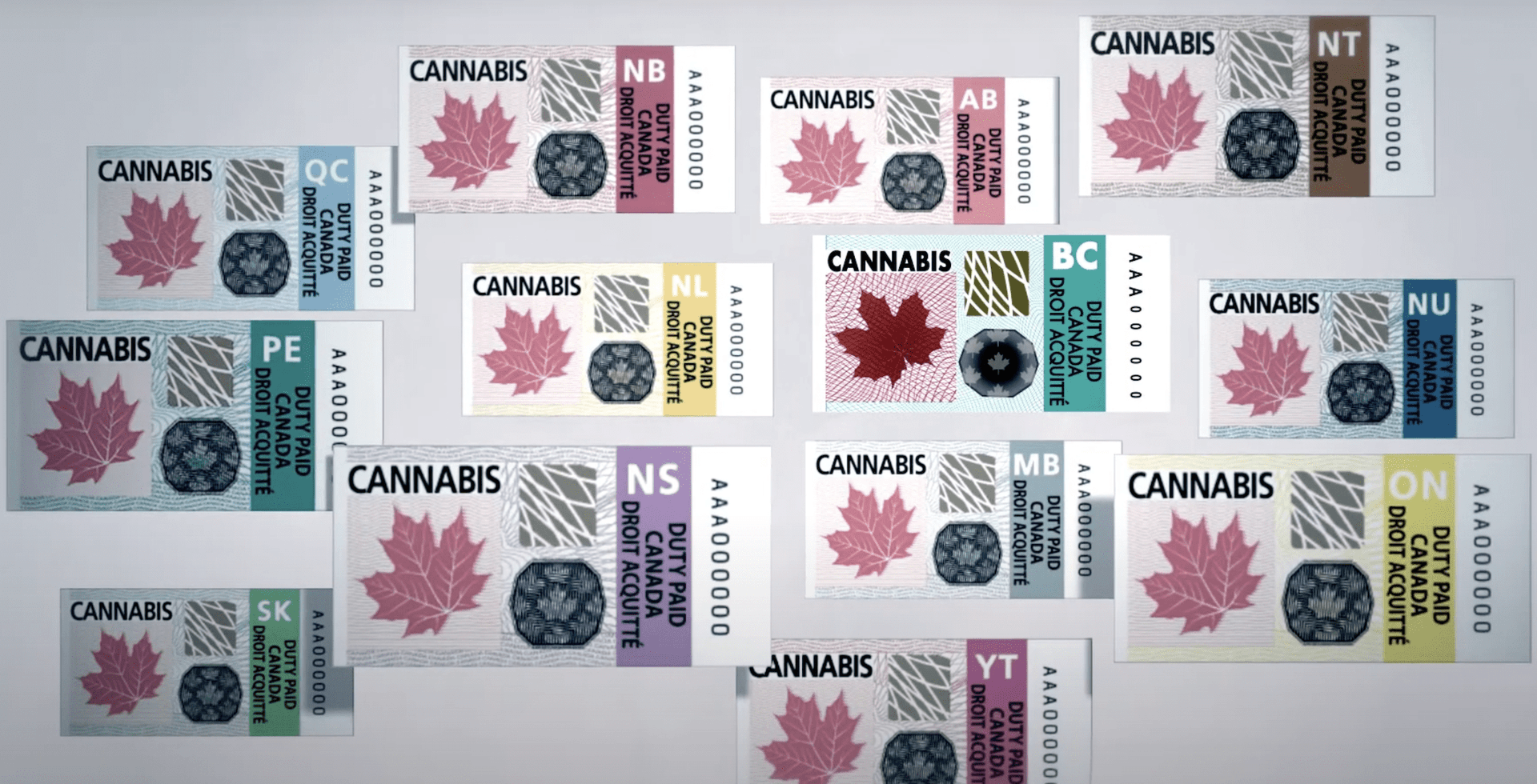 Canadian cannabis leaders bring their concerns to Parliament Hill's doorstep