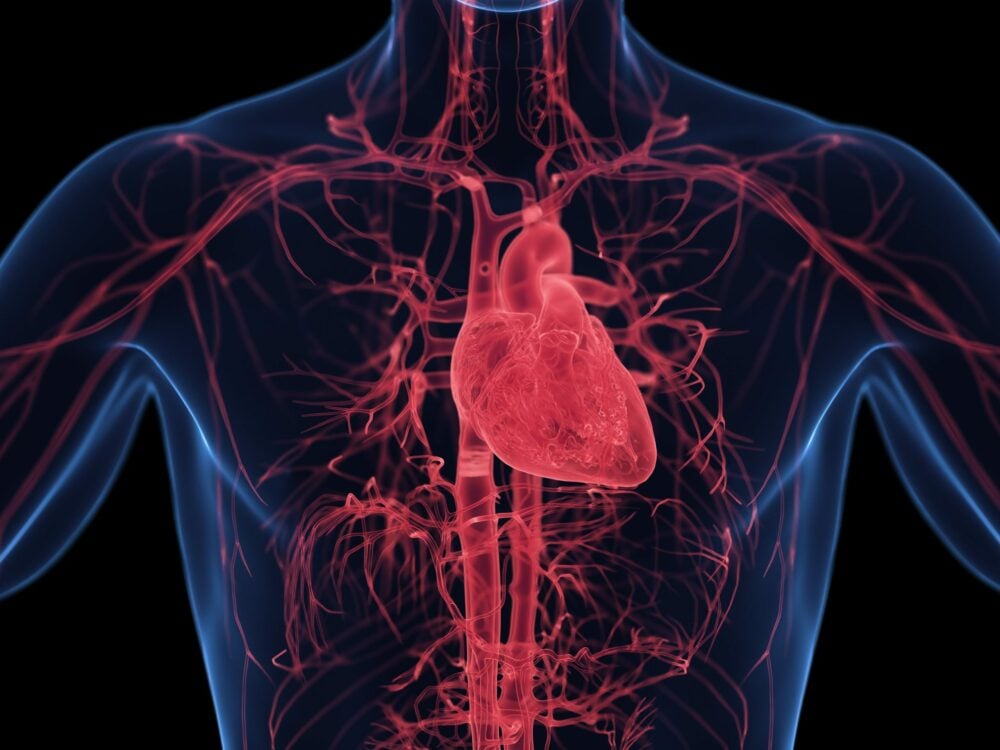 Edgewise Therapetics shares skyrocket on positive clinical trial returns
