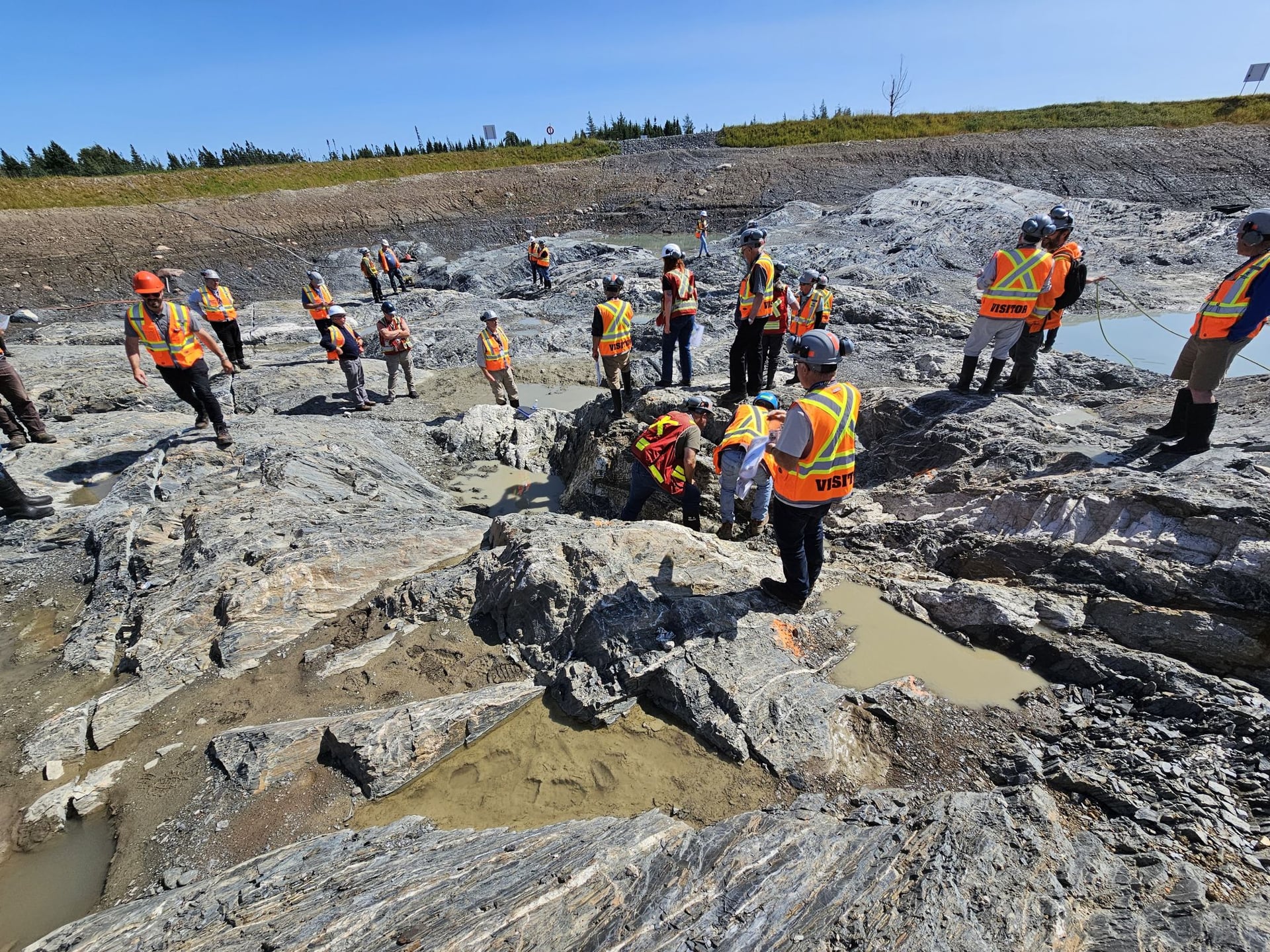 'Lies and misrepresentations': Iceberg Research throws accusations at New Found Gold