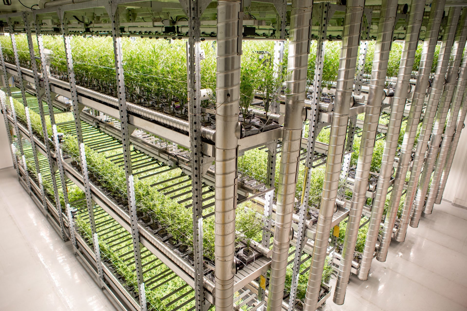 Decibel Cannabis acquires EU-GMP-certified operator AgMedica Bioscience
