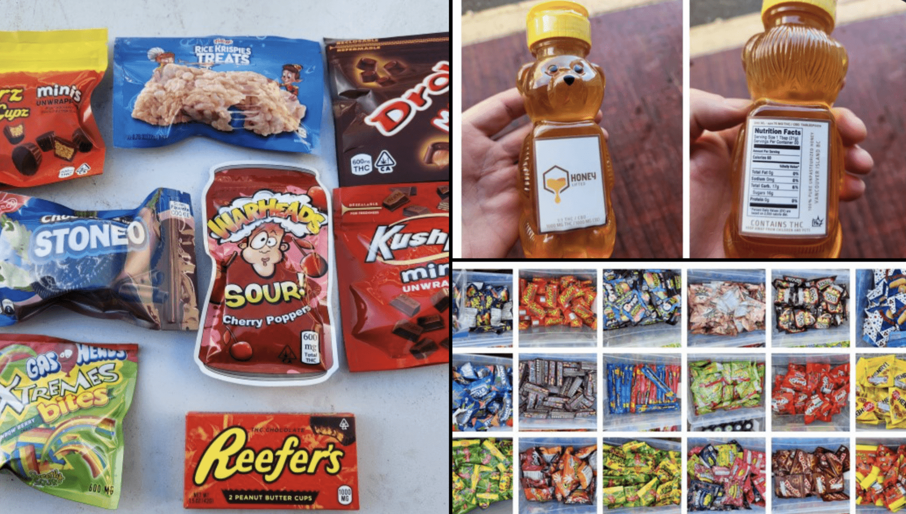 RCMP make major illicit edibles bust on Vancouver Island