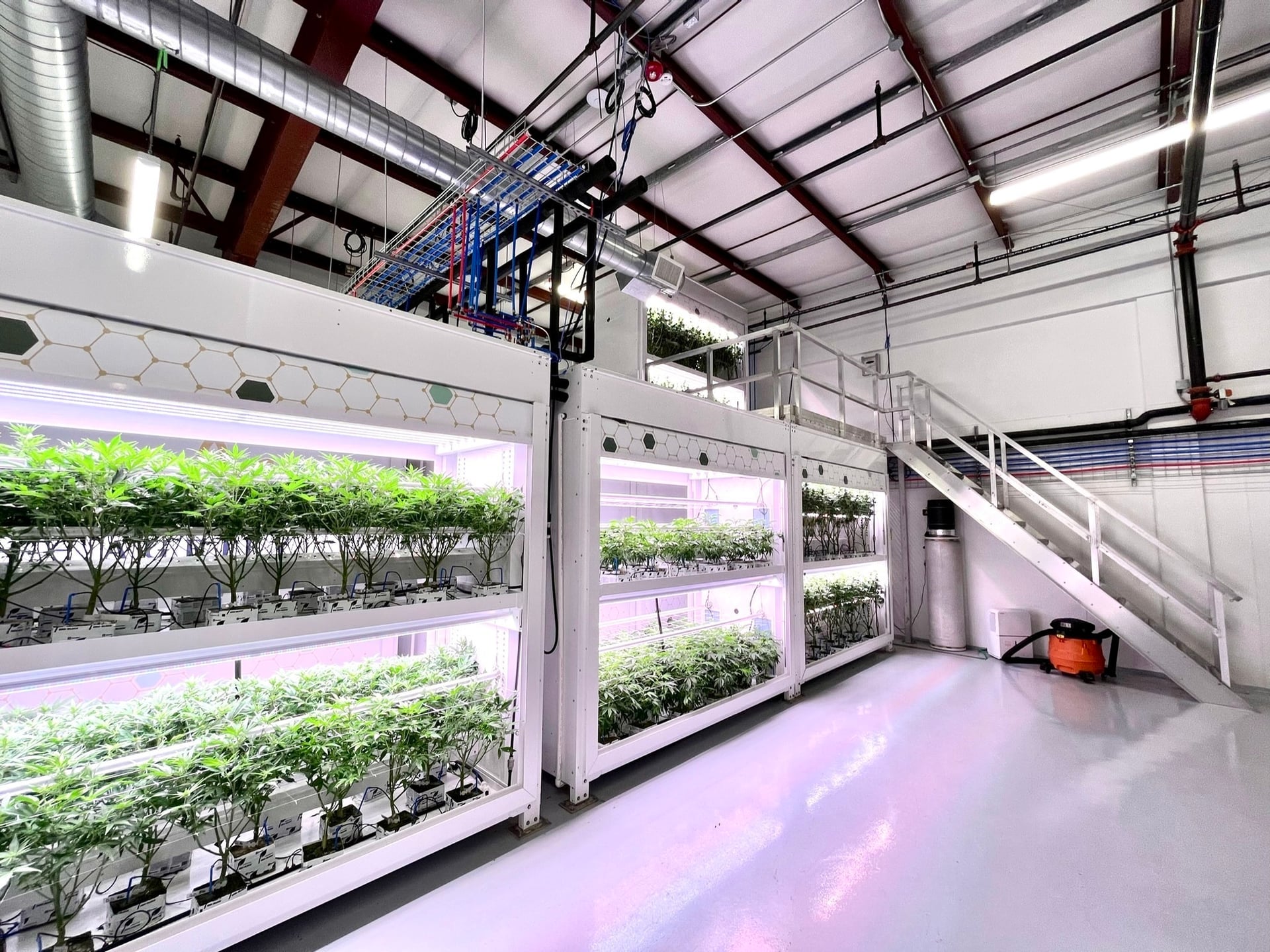 Agrify flies high on US$20M investment from Green Thumb
