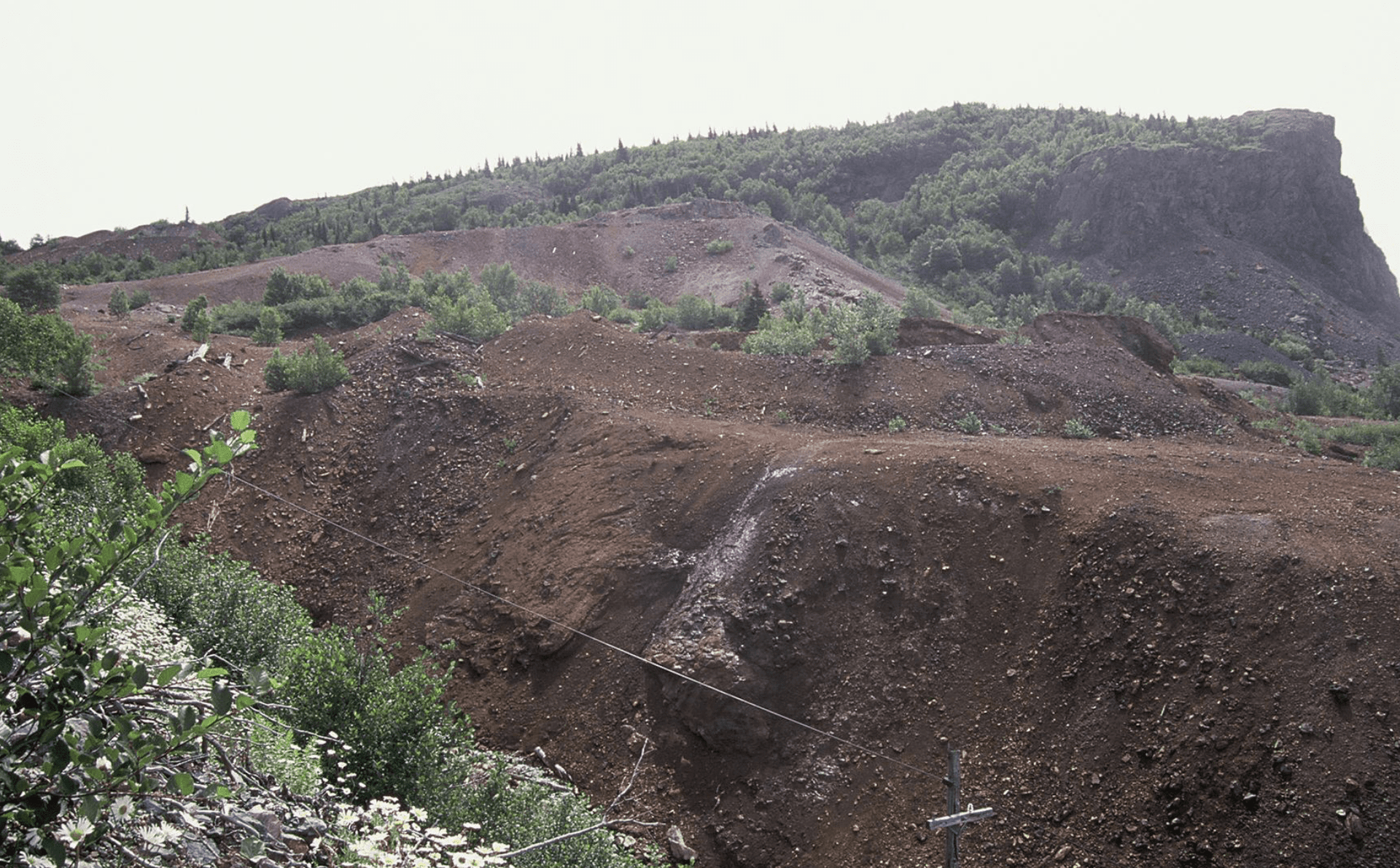 FireFly Metals to expand Newfoundland copper-gold territory with Tilt Cove acquisition