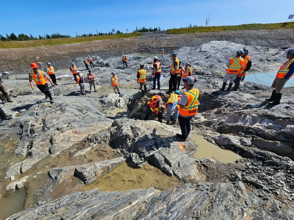 New Found Gold pulls high grade gold out of Queensway project in Newfoundland