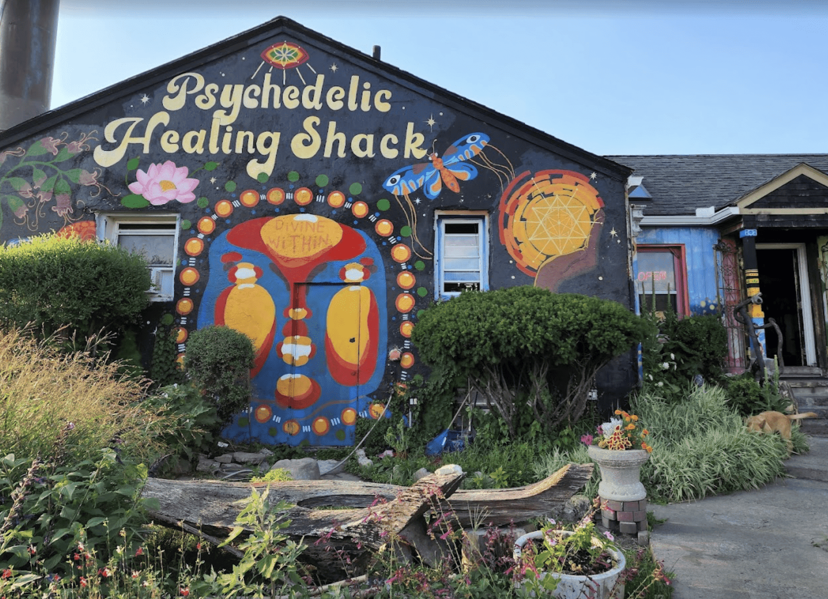 Detroit's 'Psychedelic Healing Shack' owner determined to open back up after police raid