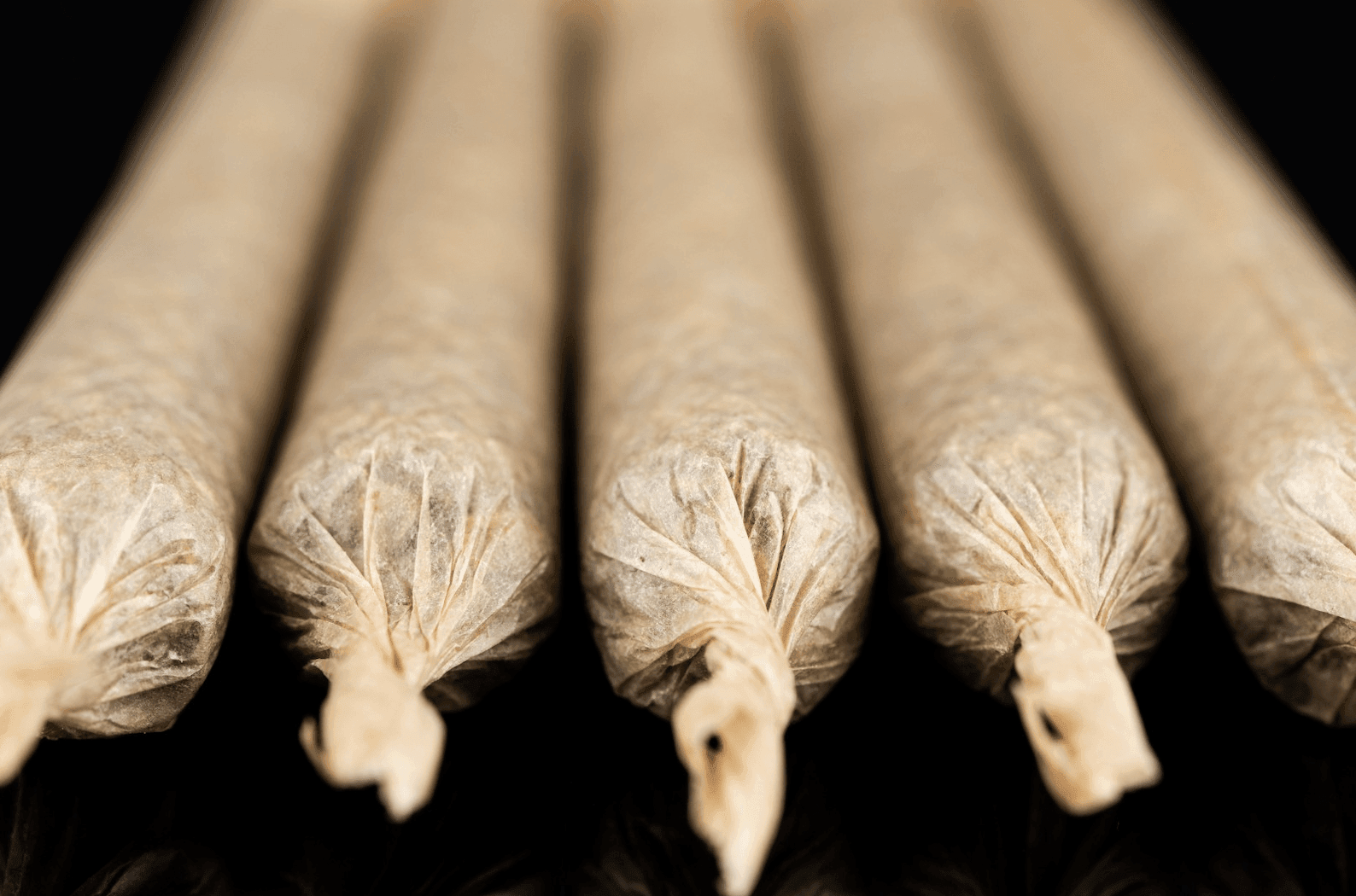 New Jersey goes up in smoke this year with over US$1B worth of cannabis sold