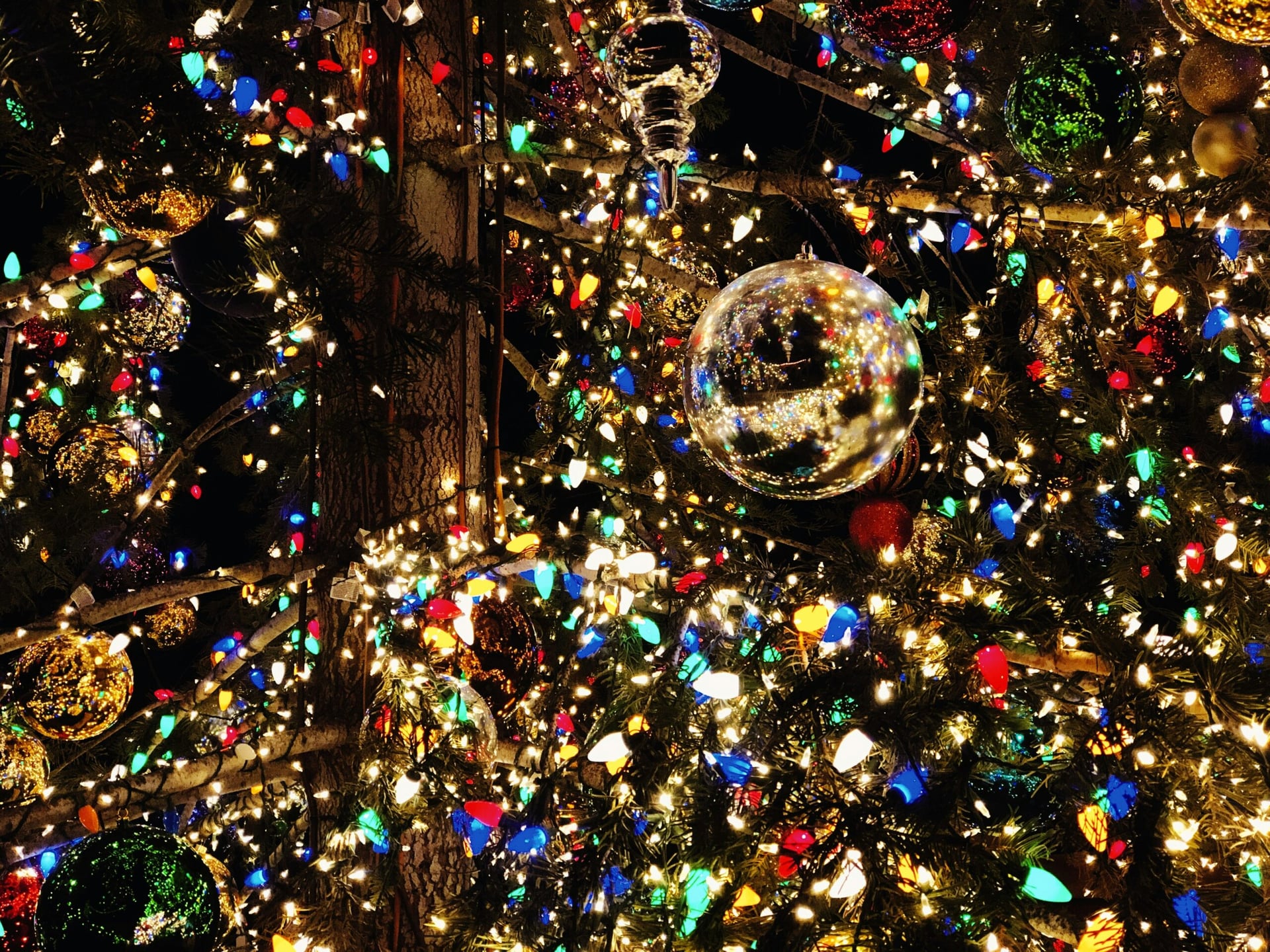 Scientists use new scanning technique to light up lung cancer cells 'like a Christmas tree'