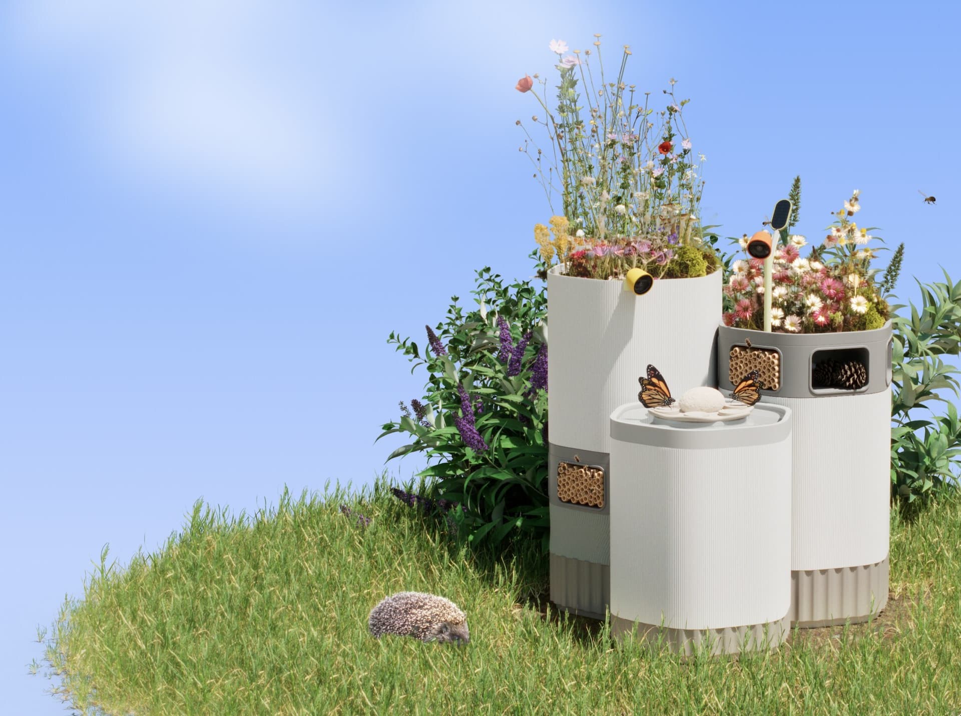 Bird Buddy spreads its wings with release of new insect observation tech