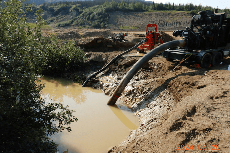 Protecting the environment: A Mugglehead roundup