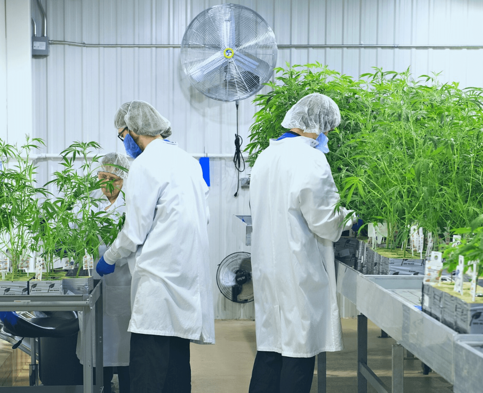 Entourage Health gets shareholder approval to exit the public markets