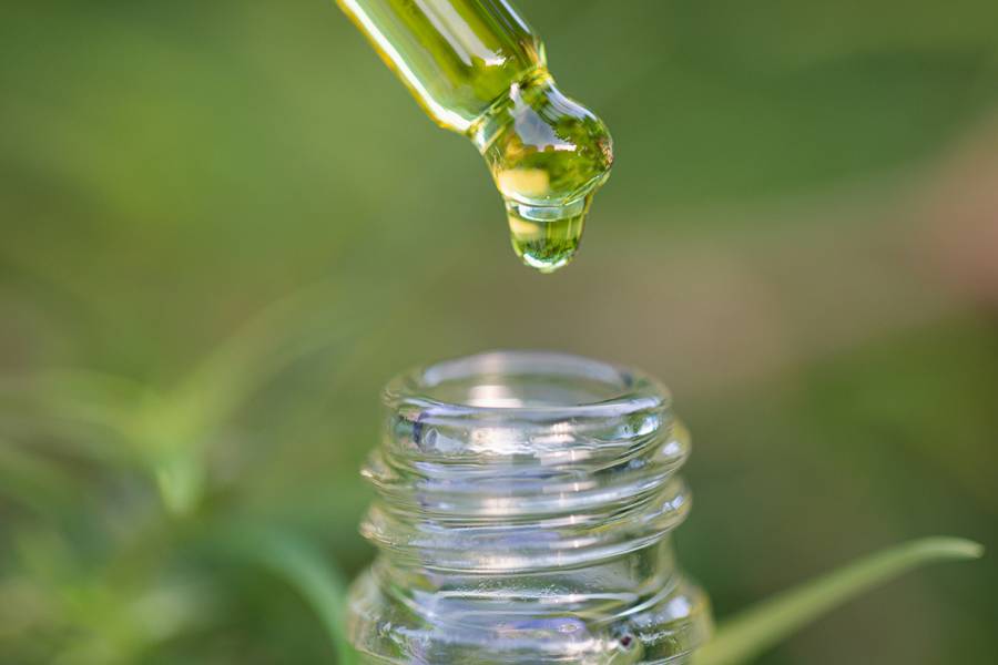 CBD proves its value for chronic pain relief in small survey study