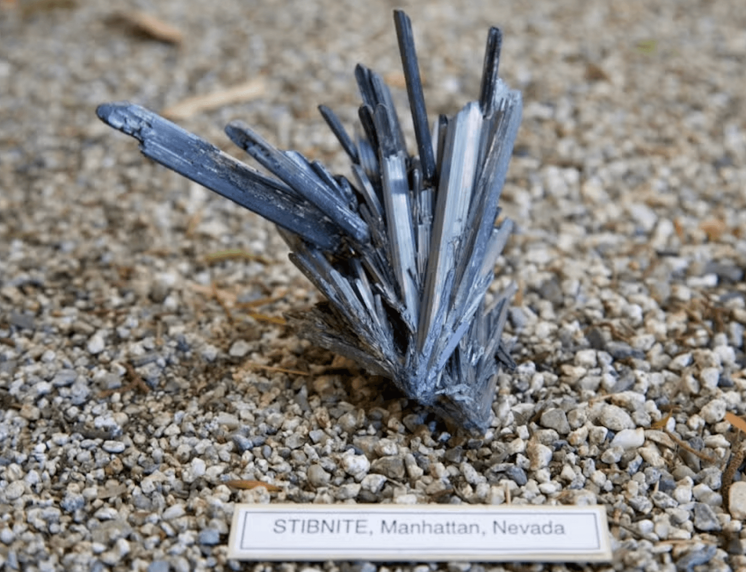 Global Tactical Metals pulls Nevada grab sample with 17.7% antimony