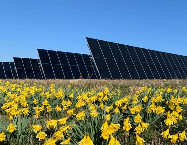 Innergex inks power purchase agreement for two solar projects in France