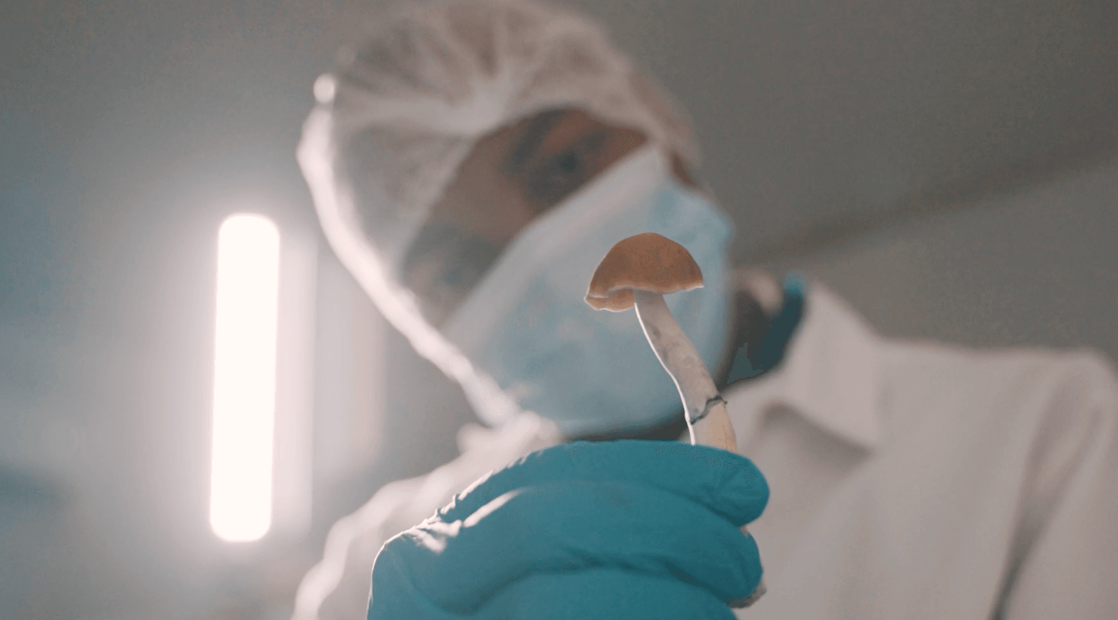 Psyence BioMed invests half a million into natural psychedelics operator PsyLabs