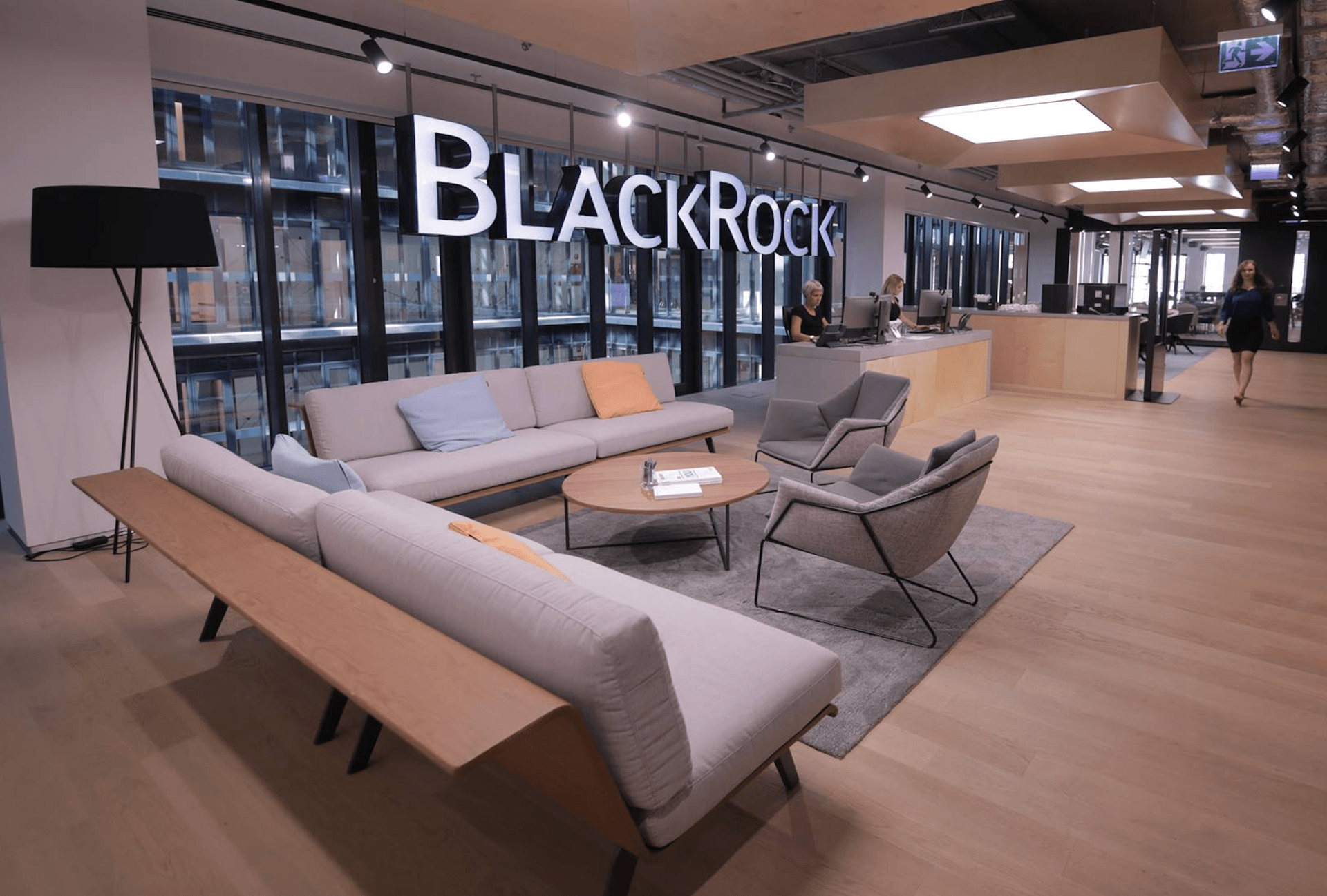 Asset management giant BlackRock gets skin in the antimony game