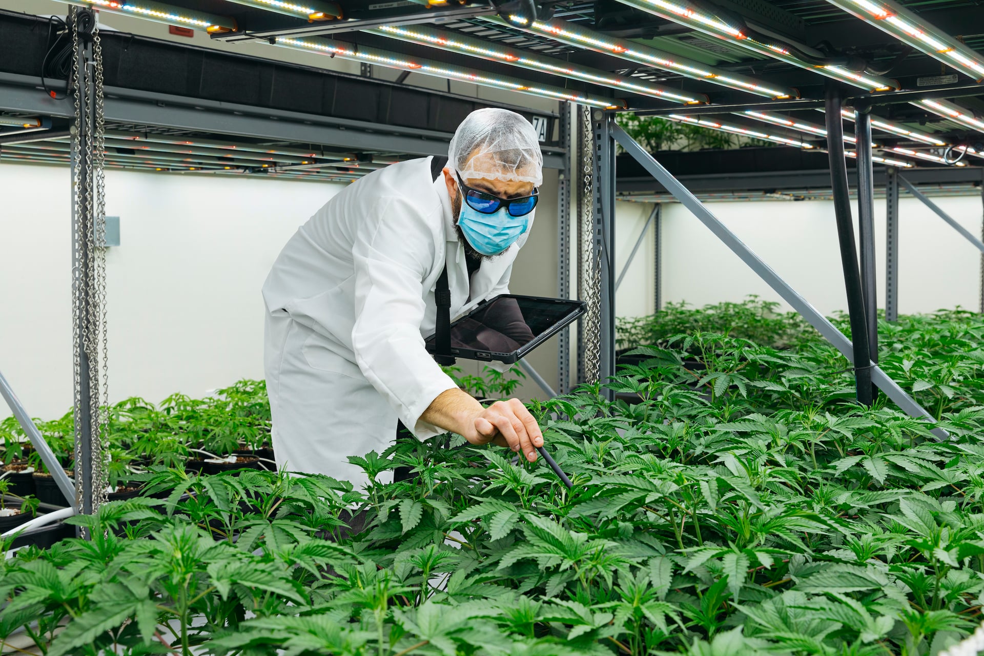 Cresco Labs becomes latest operator to bail on California market