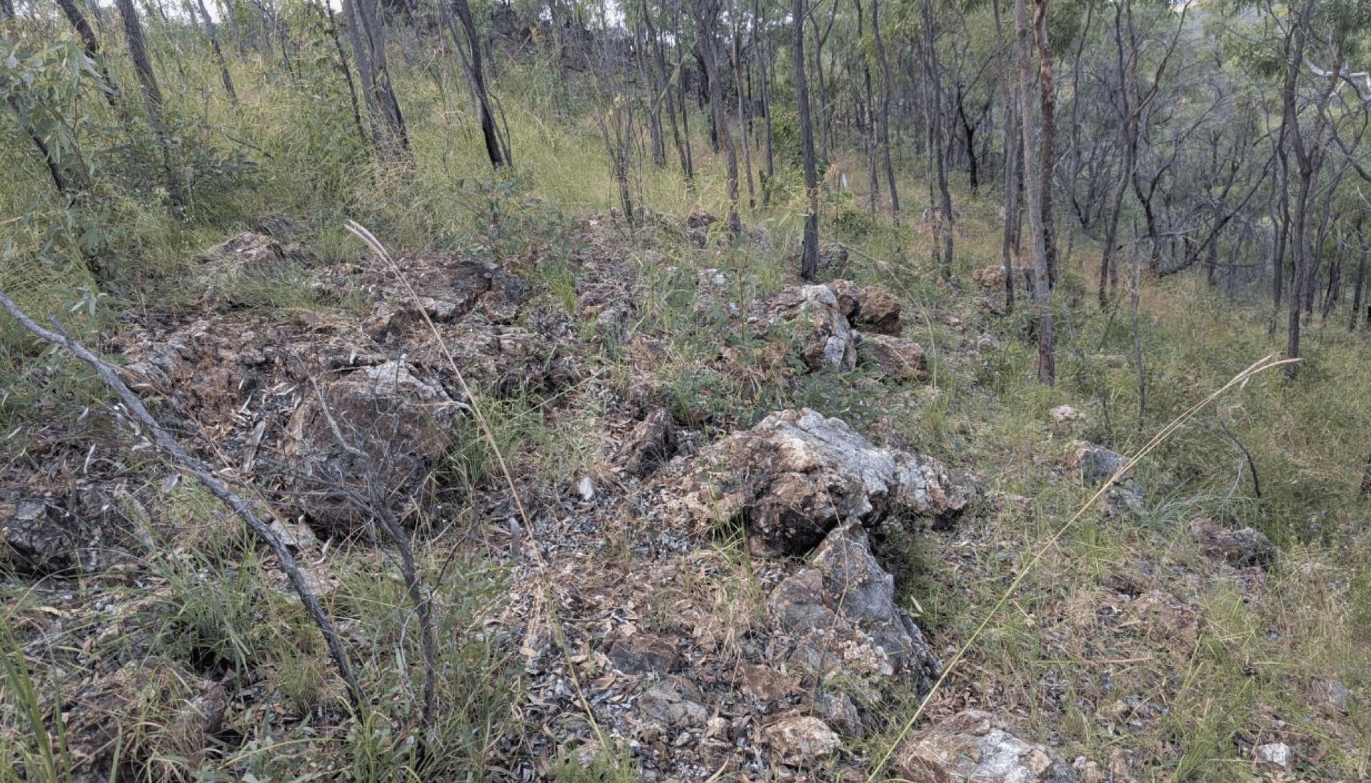 Rokeby Resources heads to Sunshine Coast to show off new gold-antimony asset