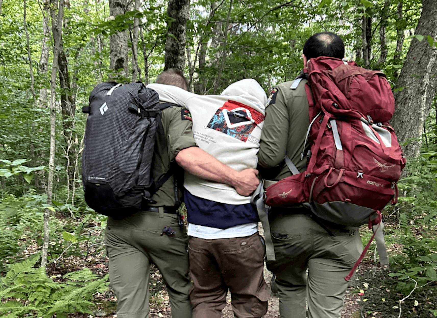 Forest rangers rescue hikers who ate too many mushrooms and got lost