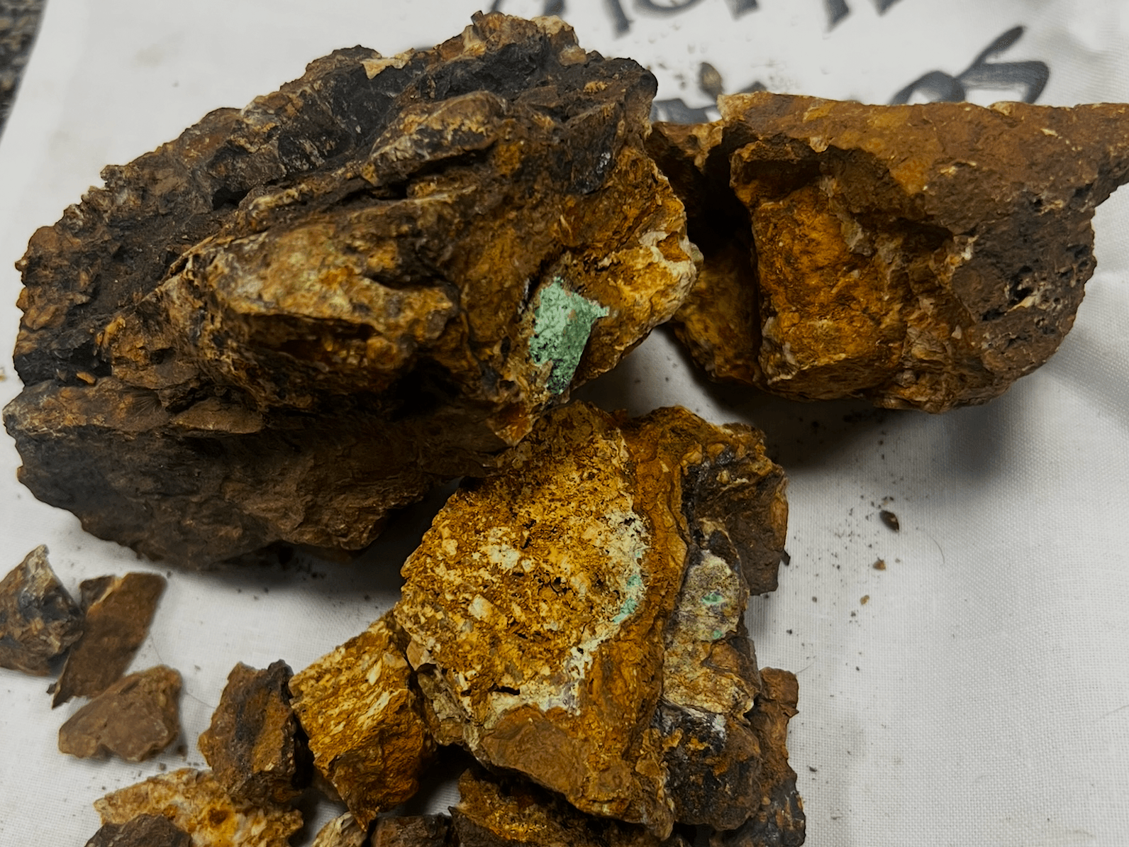 Bank of America sees precious metals rally continuing full speed into 2026