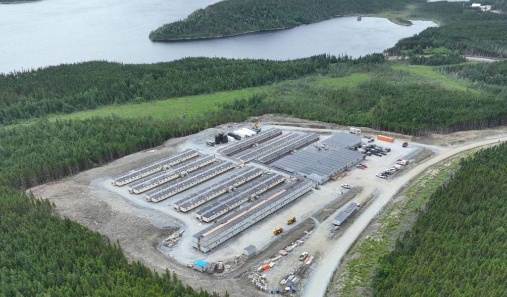 FAST 41 and Trump’s Critical Minerals: A Mugglehead Roundup