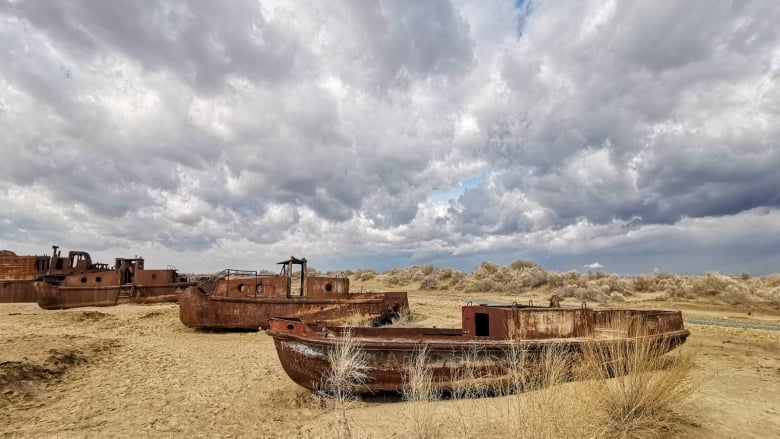 Kazakhstan and UC Berkeley use drone tech for barren seabed reforestation