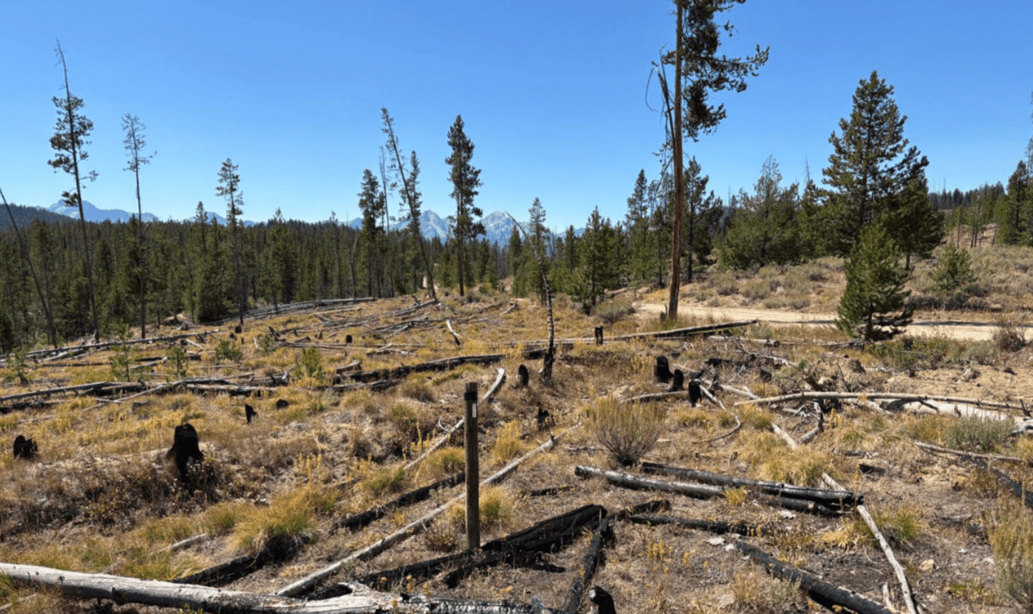 Red Mountain turns attention to Idaho with 'Silver Dollar' antimony project buy